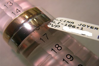 Alianza Joyas Personalizadas