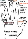 anillo atlante personalizado