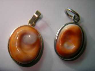 dije oreja de mar oro plata