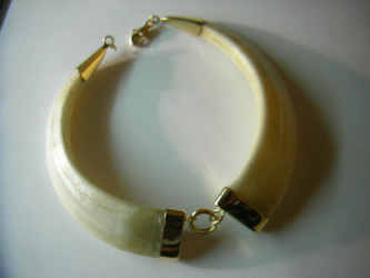 collar colmillos